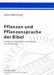 Pflanzen Und Pflanzensprache Der Bibel: Ertraege Des Hohenheimer Symposions Vom 26. Mai 2004 by Ulrich Mell