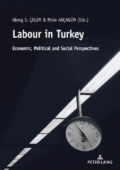 Labour in Turkey: Economic, Political and Social Perspectives by Abreg Çelem, Pelin Akçagün