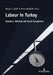 Labour in Turkey: Economic, Political and Social Perspectives by Abreg Çelem, Pelin Akçagün