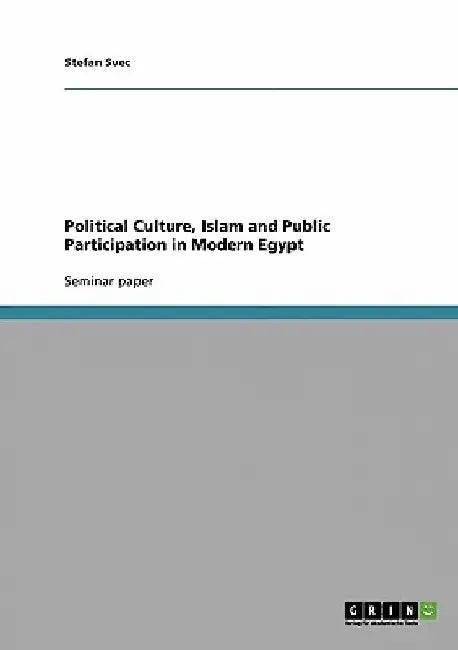 Political Culture, Islam and Public Participation in Modern Egypt by Stefan Svec