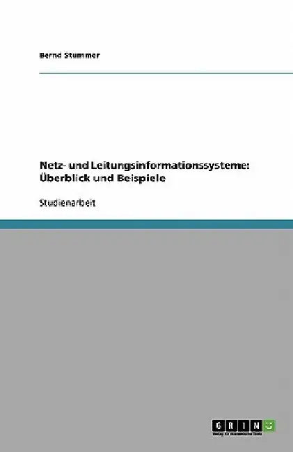 Netz- und Leitungsinformationssysteme: Überblick und Beispiele by Stummer, Bernd