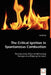 The Critical Ignition in Spontaneous Combustion by Lei Zhang