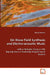 On Wave Field Synthesis and Electro-acoustic Music by Marije Baalman