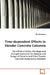 Time-dependent Effects in Slender Concrete Columns by Bo Westerberg