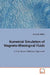 Numerical Simulation of Magneto-Rheological Fluids by Constantin Nichita