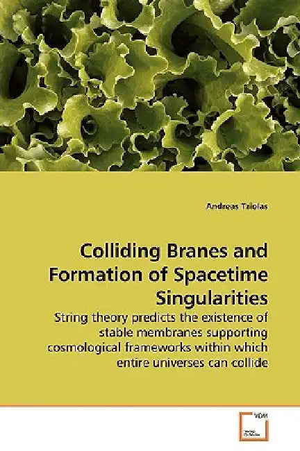 Colliding Branes and Formation of Spacetime Singularities by Andreas Tziolas