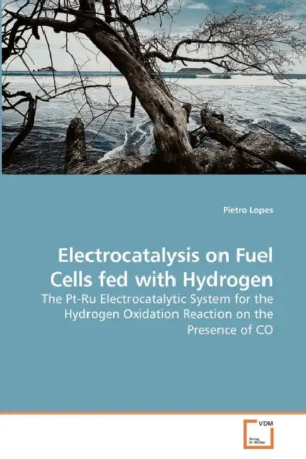 Electrocatalysis on Fuel Cells fed with Hydrogen by Pietro Lopes
