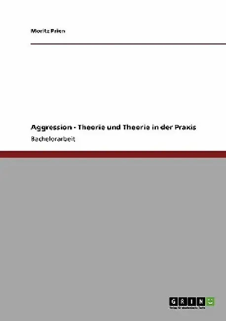 Aggression - Theorie und Theorie in der Praxis by Prien, Moritz