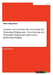 Gründe und Ursachen für den Erfolg der Dänischen Volkspartei - Vom Aufstieg der Dänischen Volkspartei und seinen politischen Folgen by Volquardsen, Ebbe