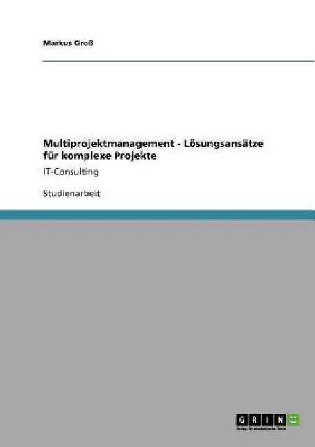 Multiprojektmanagement - Lösungsansätze für komplexe Projekte: IT-Consulting by Groß, Markus
