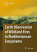 Earth Observation of Wildland Fires in Mediterranean Ecosystems by Emilio Chuvieco