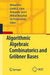 Algorithmic Algebraic Combinatorics and Gröbner Bases by Mikhail Klin