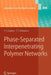Phase-Separated Interpenetrating Polymer Networks by Yuri S. Lipatov