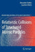 Relativistic Collisions of Structured Atomic Particles by Alexander Voitkiv