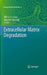 Extracellular Matrix Degradation by William C. Parks, Robert Mecham