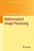 Mathematical Image Processing: University of Orléans, France, March 29th - April 1st, 2010 by Maïtine Bergounioux