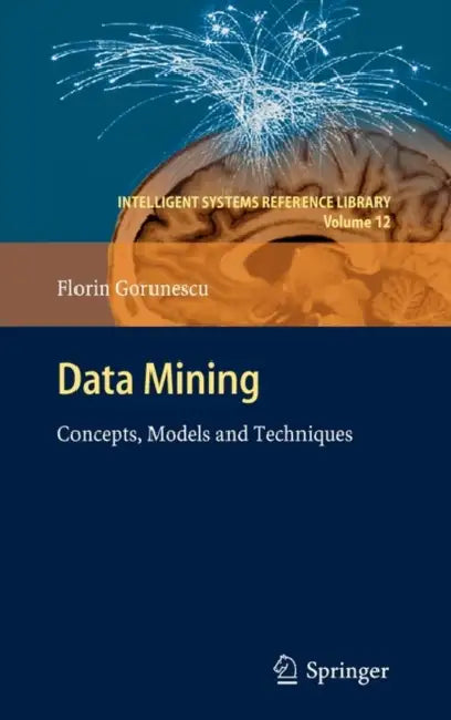 Data Mining: Concepts, Models and Techniques by Florin Gorunescu