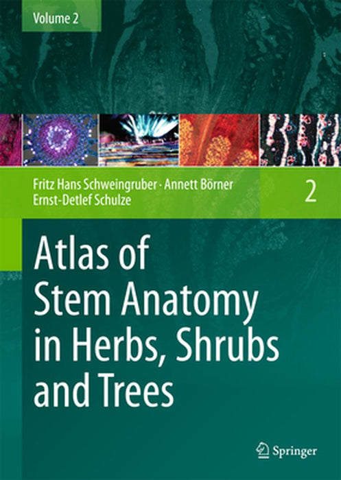 Atlas of Stem Anatomy in Herbs, Shrubs and Trees: Volume 2 by Fritz Hans Schweingruber