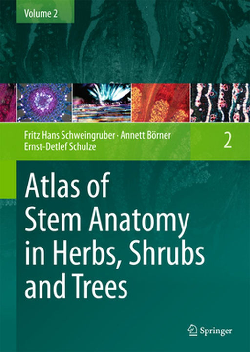 Atlas of Stem Anatomy in Herbs, Shrubs and Trees: Volume 2 by Fritz Hans Schweingruber