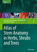 Atlas of Stem Anatomy in Herbs, Shrubs and Trees: Volume 2 by Fritz Hans Schweingruber