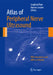 Atlas of Peripheral Nerve Ultrasound: With Anatomic and MRI Correlation by Siegfried Peer, Hannes Gruber