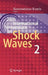 28th International Symposium on Shock Waves: Vol 2 by Konstantinos Kontis