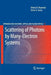 Scattering of Photons by Many-Electron Systems by Alexey N. Hopersky