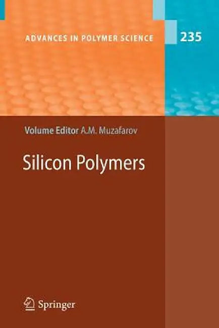 Silicon Polymers by Aziz M. Muzafarov