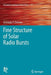 Fine Structure of Solar Radio Bursts by Gennady P. Chernov