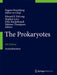 The Prokaryotes: Actinobacteria by Eugene Rosenberg