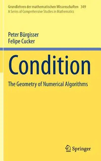 Condition: The Geometry of Numerical Algorithms by Peter Bürgisser