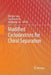 Modified Cyclodextrins for Chiral Separation by Weihua Tang