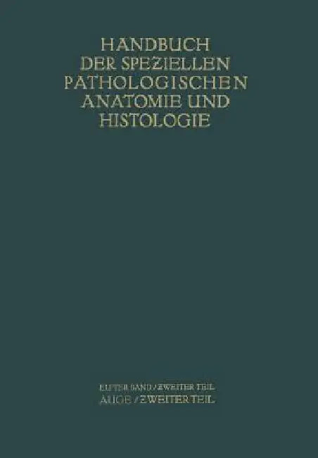 Auge: Zweiter Teil by G. Abelsdorff, A. Elschnig, S. Ginsberg