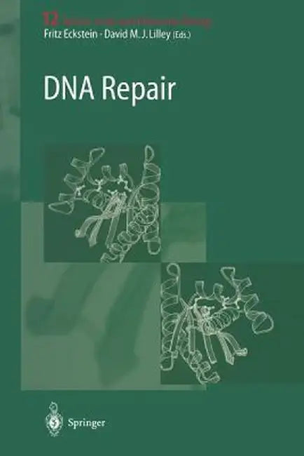 DNA Repair by Fritz Eckstein