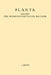 Planta: Archiv Für Wissenschaftliche Botanik by W. Ruhland, H. Winkler