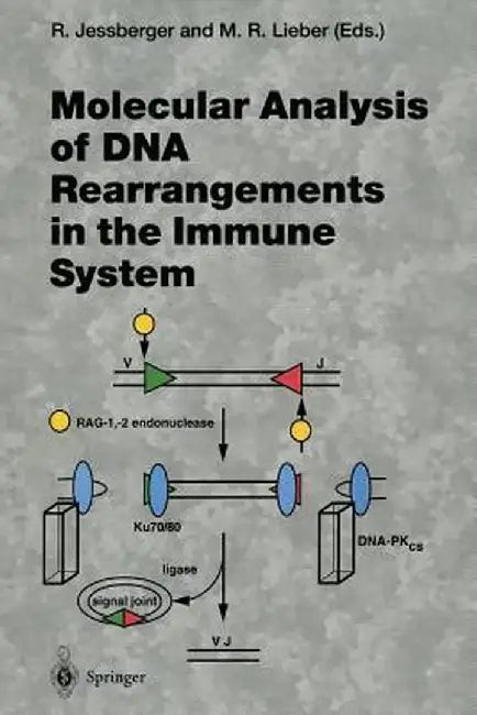 Molecular Analysis of DNA Rearrangements in the Immune System by Rolf Jessberger