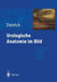 Urologische Anatomie Im Bild: Von Der Künstlerisch-Anatomischen Abbildung Zu Den Ersten Operationen by Holger G. Dietrich