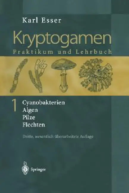 Kryptogamen 1: Cyanobakterien Algen Pilze Flechten Praktikum Und Lehrbuch by Karl Esser, H. -J Rathke, K. Esser