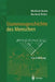 Stammesgeschichte Des Menschen: Eine Einführung by Winfried Henke, Hartmut Rothe