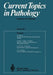 Current Topics in Pathology / Ergebnisse Der Pathologie by Hans-W Altmann