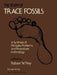 The Study of Trace Fossils: A Synthesis of Principles, Problems, and Procedures in Ichnology by R. W. Frey