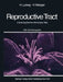 The Human Female Reproductive Tract: A Scanning Electron Microscopic Atlas by H. Ludwig