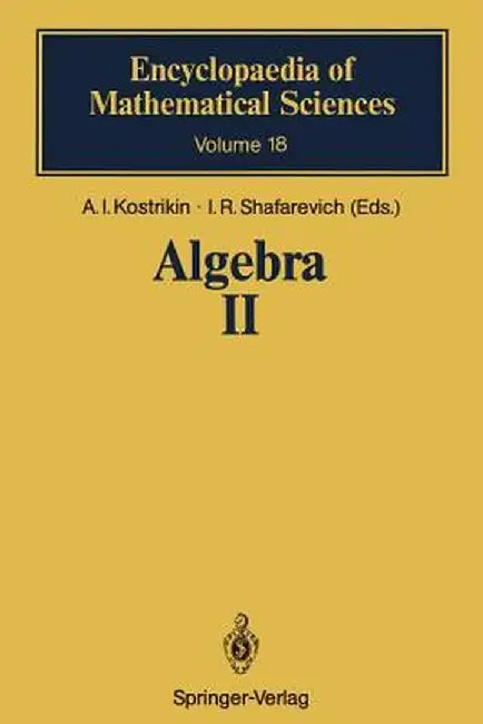 Algebra II: Noncommutative Rings Identities by A. I. Kostrikin