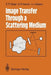 Image Transfer Through a Scattering Medium by Eleonora P. Zege