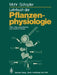 Lehrbuch Der Pflanzenphysiologie by Hans Mohr, Peter Schopfer