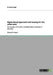 Rights Based Approach and Housing for the urban poor: An analysis of the Slum Rehabilitation Schemes in Mumbai by Binti Singh