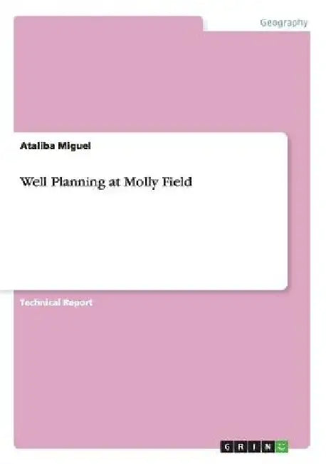 Well Planning at Molly Field by Ataliba Miguel