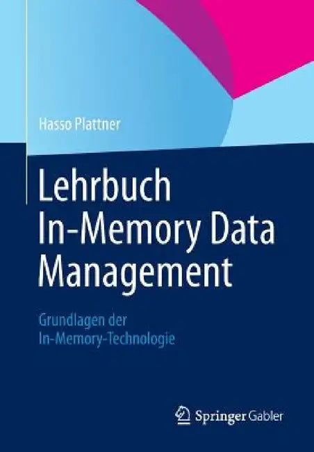 Lehrbuch In-Memory Data Management: Grundlagen Der In-Memory-Technologie by Hasso Plattner
