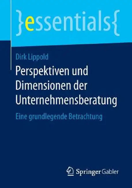 Perspektiven Und Dimensionen Der Unternehmensberatung: Eine Grundlegende Betrachtung by Dirk Lippold