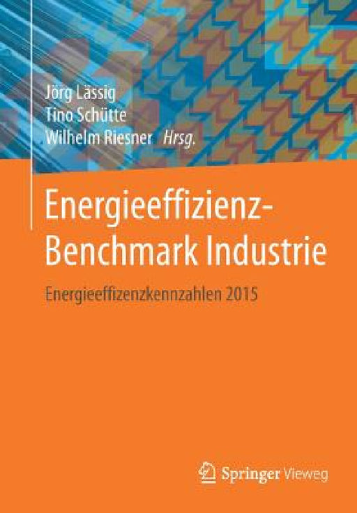 Energieeffizienz-Benchmark Industrie: Energieeffizienzkennzahlen 2015 by Jörg Lässig, Tino Schütte, Wilhelm Riesner